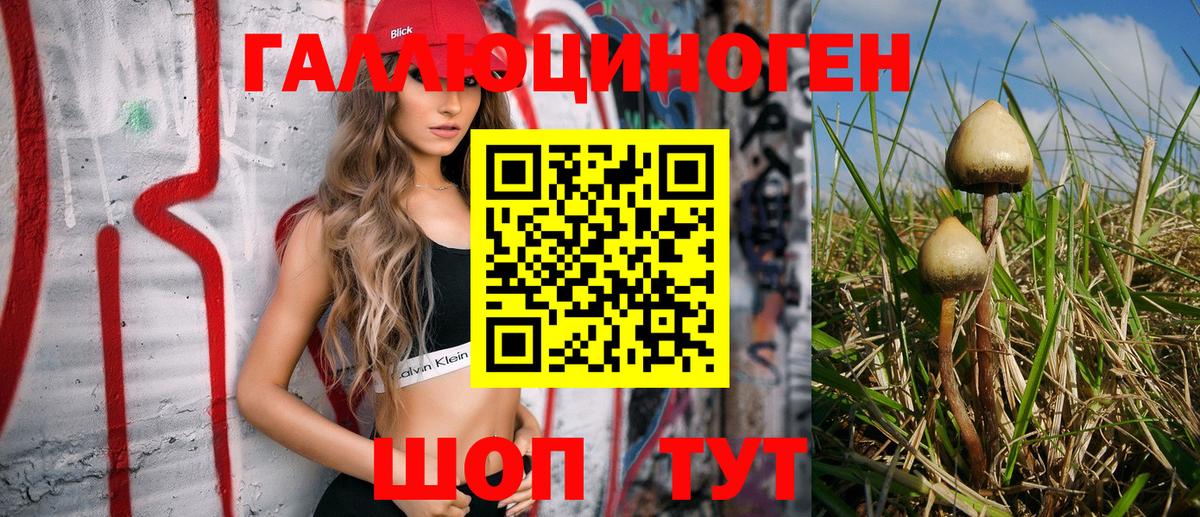 Псилоцибиновые грибы Psilocybe Костомукша